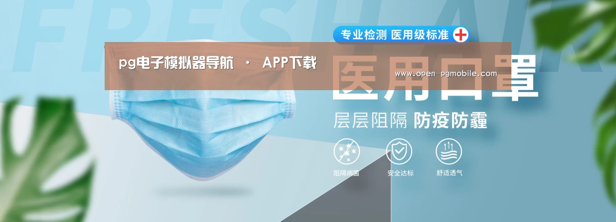 某某口罩防护用品有限公司