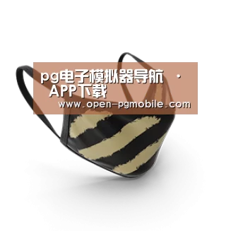 成人布口罩