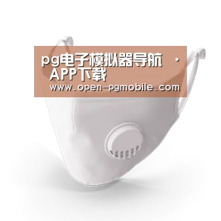 N95 口罩