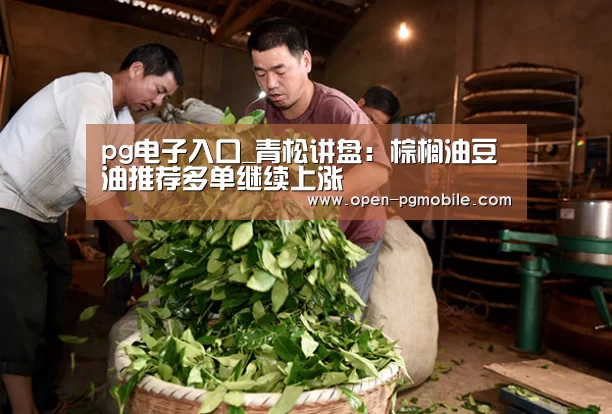 pg电子入口_青松讲盘:棕榈油豆油推荐多单继续上涨(图3) pg电子app