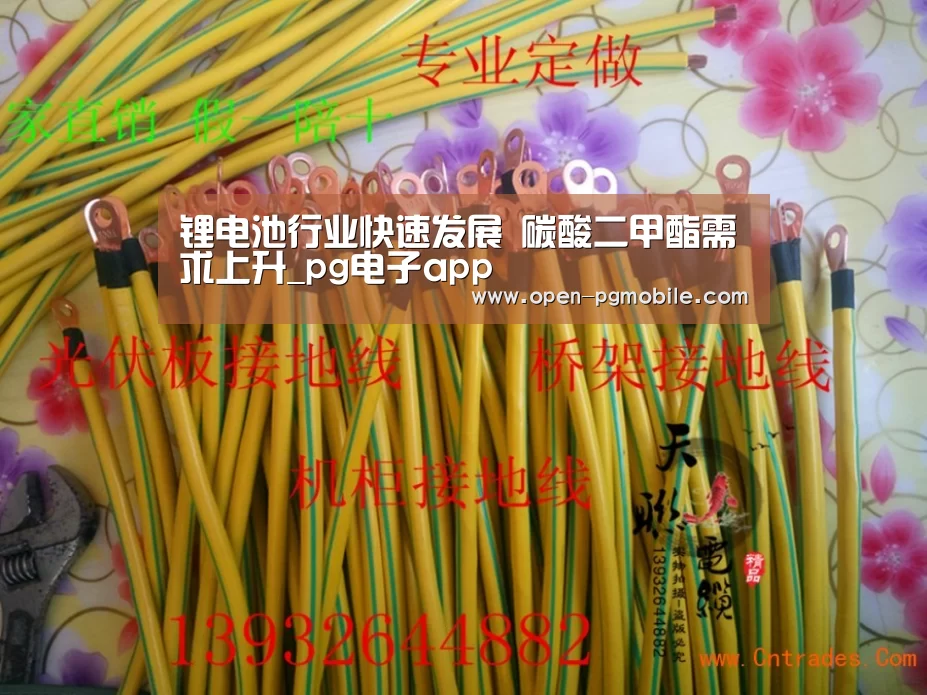锂电池行业快速发展 碳酸二甲酯需求上升_pg电子app