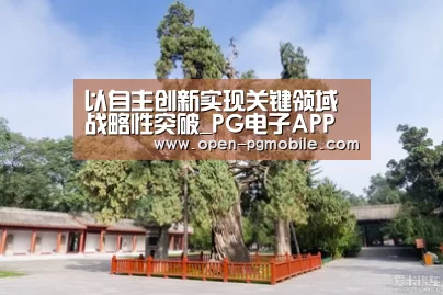 以自主创新实现关键领域战略性突破_PG电子APP(图2) pg电子app