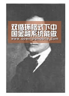双循环格式下中国金融系统能做什么?【pg电子app】(图2) PG电子APP