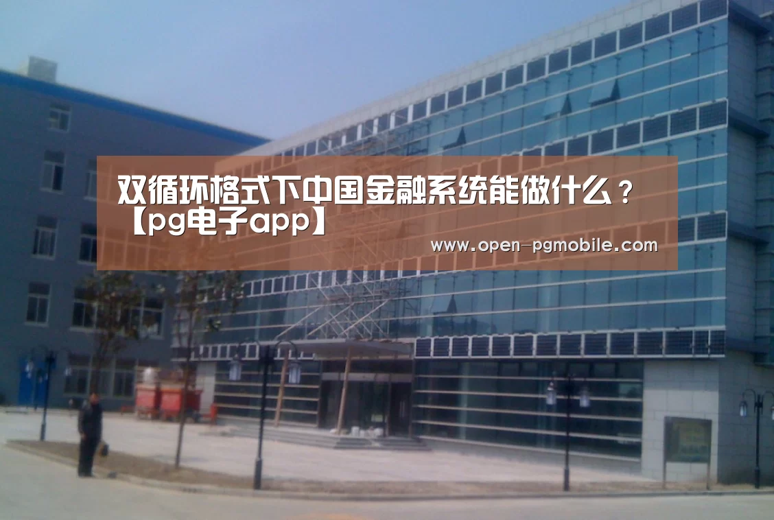 双循环格式下中国金融系统能做什么?【pg电子app】(图3) pg电子app