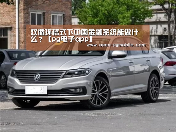 
双循环格式下中国金融系统能做什么？【pg电子app】