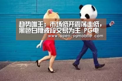 趋势唯王：市场低开震荡走低，黑色白糖波段交易为主_PG电子A