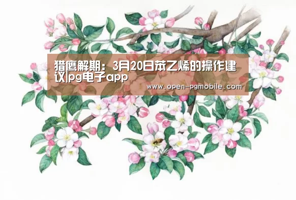 pg电子下载